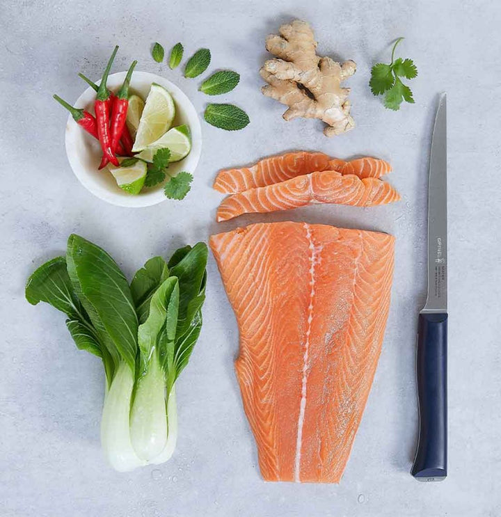Opinel Intempora No.221 Fillet Knife - Black Box BBQ