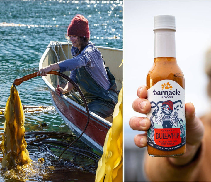 Bullwhip Hot Sauce - Black Box BBQ